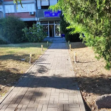 Magenta New * בלגרד