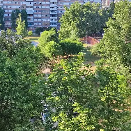 דירה Magenta New בלגרד